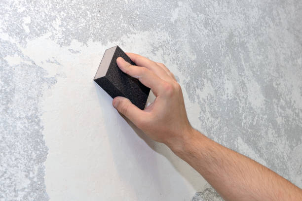 Best Mold Odor Removal Services  in Northport, AL