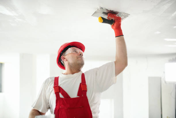 Best Mold Prevention Services  in Northport, AL