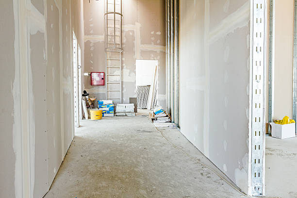 Best Mold Damage Restoration  in Northport, AL